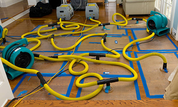 Professional Crawl Space Water Removal technician working in Sanford, NC